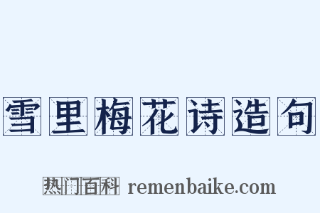 雪里梅花诗造句是什么意思的图片